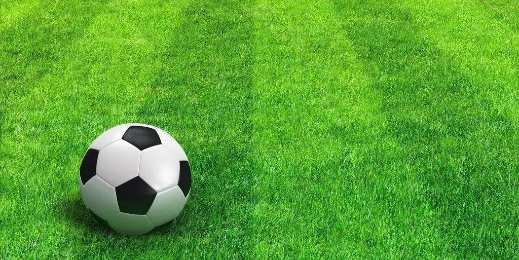 500万即时比分手机版多平台支持展示